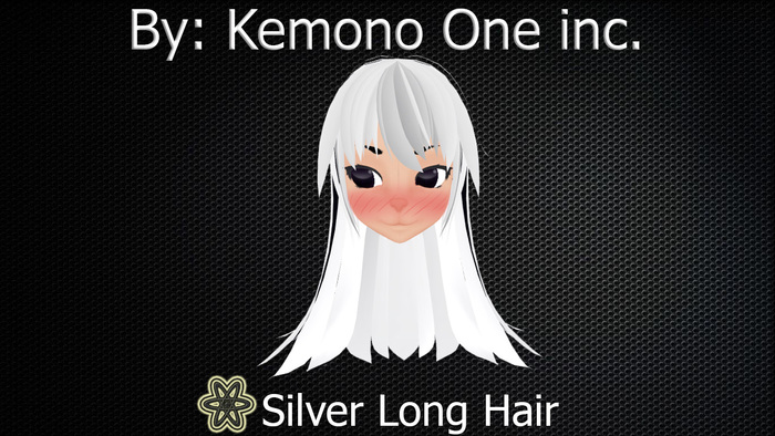 Silver Long Hair