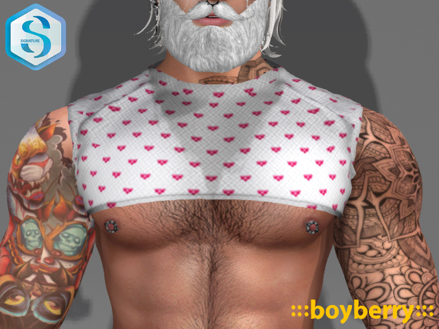 boyberry Valentine Crop T (Signature)