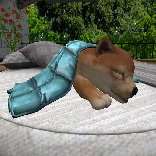 JIAN :: Silly Shibes - Sleepy Pup RARE (BOX)