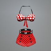 Valentine Dots Mesh Bikini