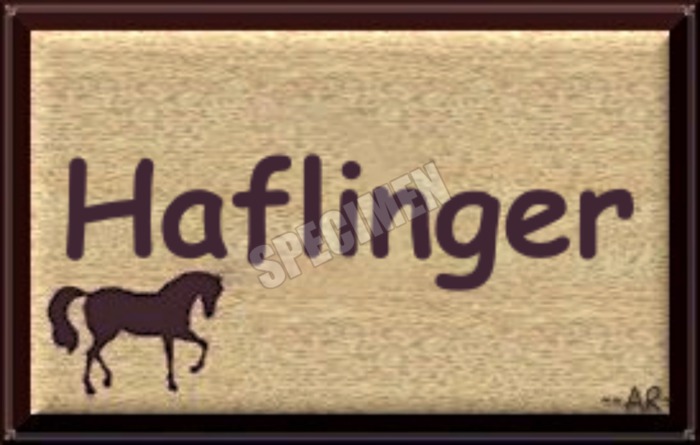 HAFLINGER SIGN