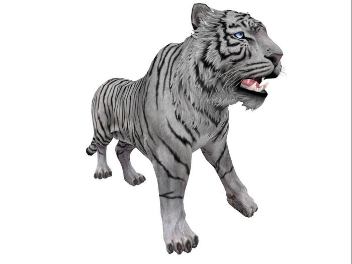 White Tiger Statue