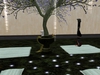 Meditation sacturary 007