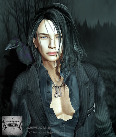 .:CHEVEUX:.M116 Hair Browns