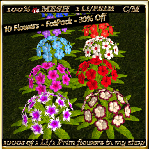LW_ 10 Mesh Ground Carnations - FatPack - 30% Off