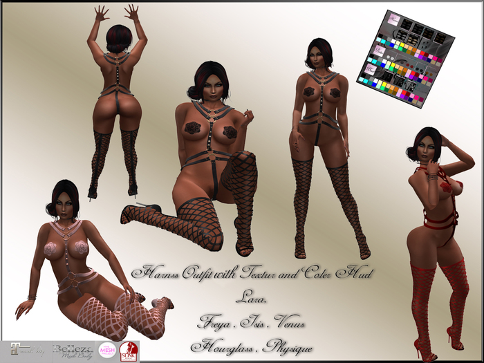 ::SA:: Harness Outfit With Color / Texturhud  (F,I,V/H,P/M)