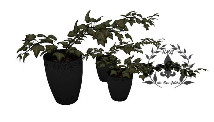#12..::OA - M.E.O::..[EAW] Ivy Pot.Set[BOX]