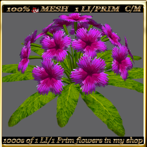 LW_ Mesh Ground Carnations 4