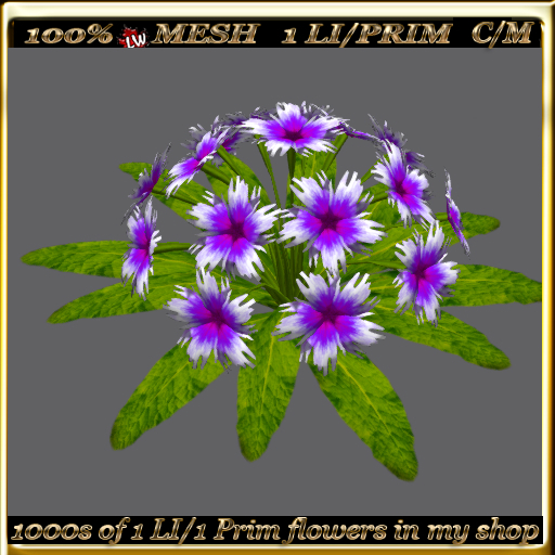 LW_ Mesh Ground Carnations 5