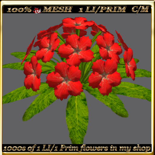 LW_ Mesh Ground Carnations 7