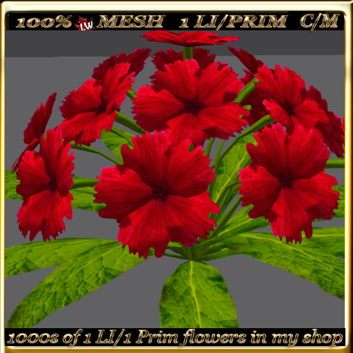 LW_ Mesh Ground Carnations 9