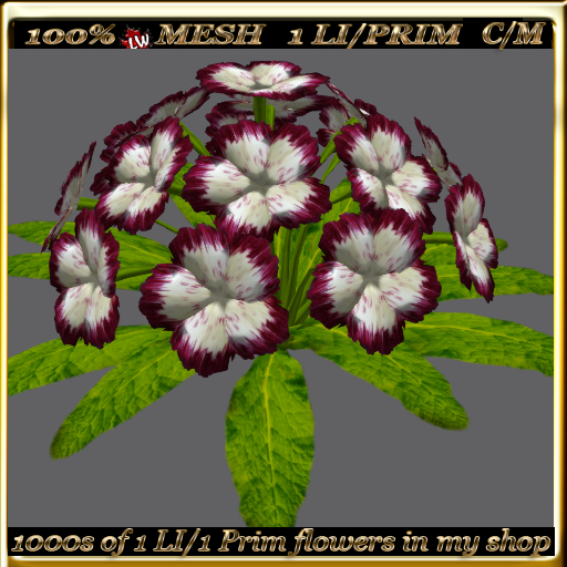 LW_ Mesh Ground Carnations 10