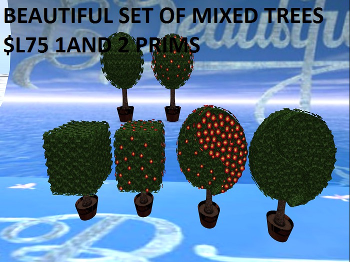 BEAUTIFUL SET OF MIXED TREES