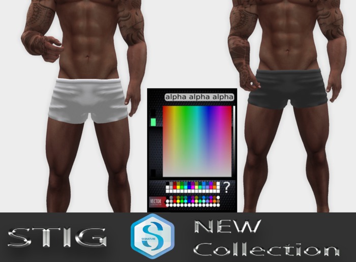 STIG SIGNATURE Gianni TRUNKS with Color HUD