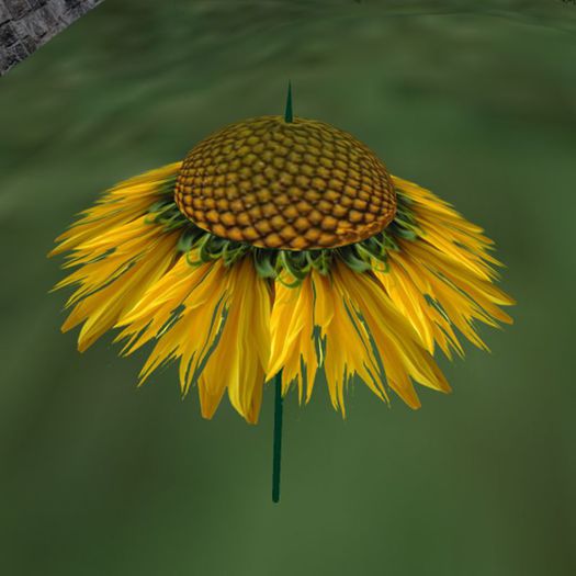 VAMPI&SN_1_Sunshade_Sonnenschirm