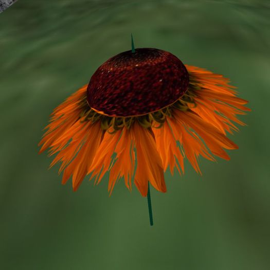 VAMPI&SN_2_Sunshade_Sonnenschirm