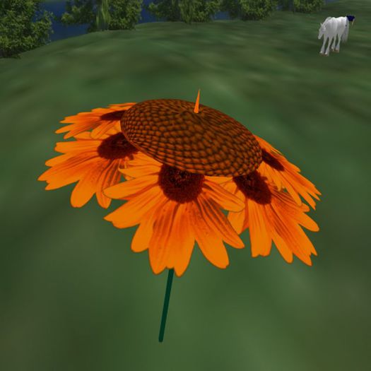 Sunshade_Sonnenschirm_3