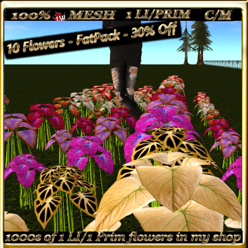 LW_ 10 Caladiums - FatPack - 30% Off