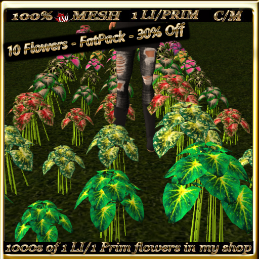 LW_ 10 Caladiums - FatPack 2 - 30% Off