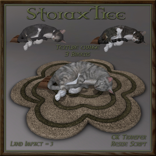 Feline Blossom Rug Cf