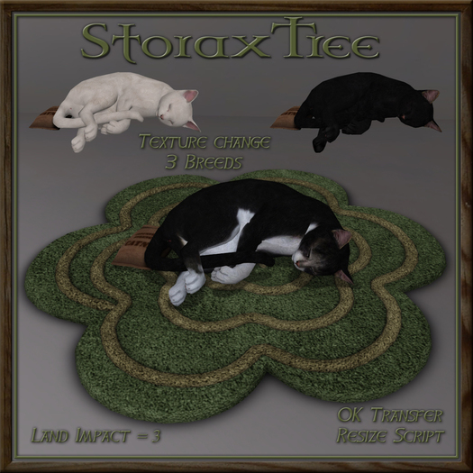 Feline Blossom Rug Ar