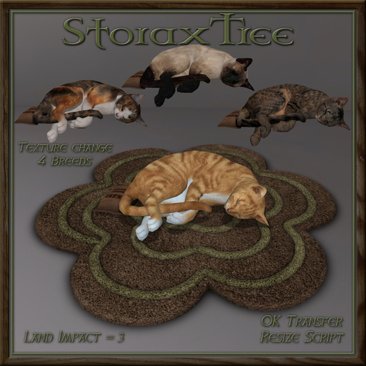 Feline Blossom Rug Bc