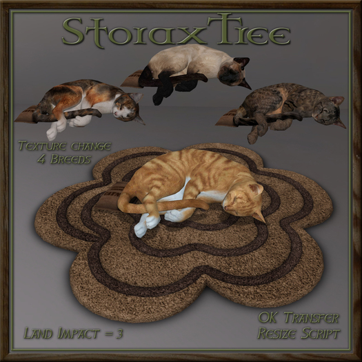 Feline Blossom Rug Be