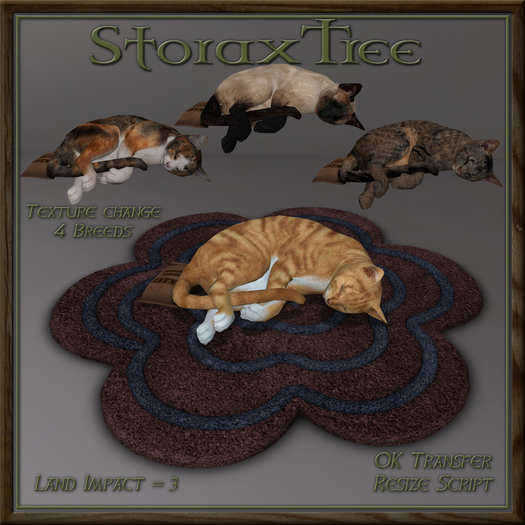 Feline Blossom Rug Bm