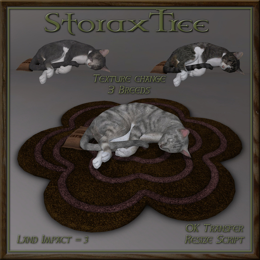 Feline Blossom Rug Ca