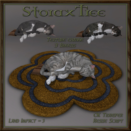 Feline Blossom Rug Cd