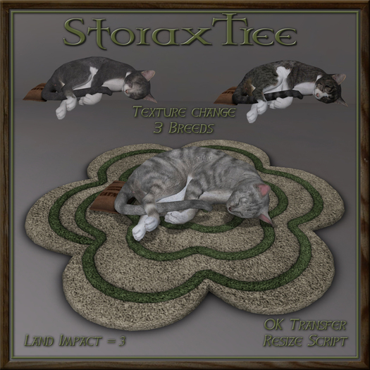 Feline Blossom Rug Cg