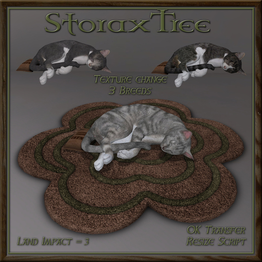 Feline Blossom Rug Cj