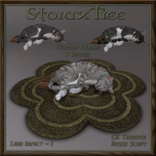 Feline Blossom Rug Cn