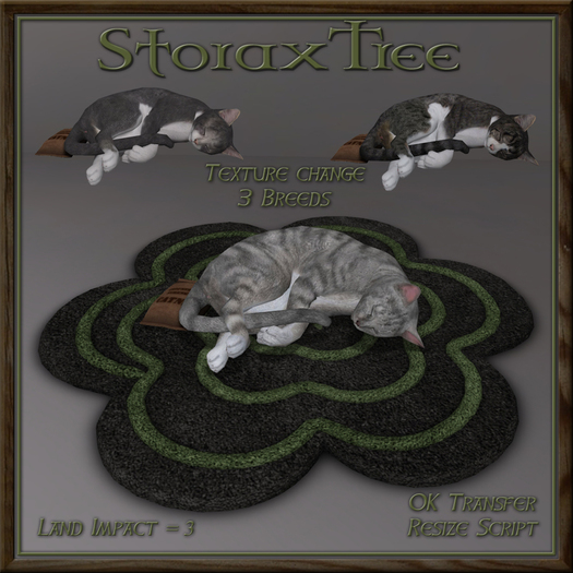Feline Blossom Rug Cs