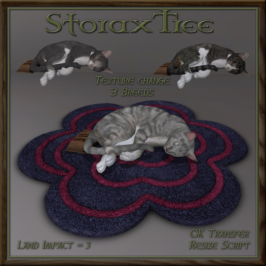 Feline Blossom Rug Ct