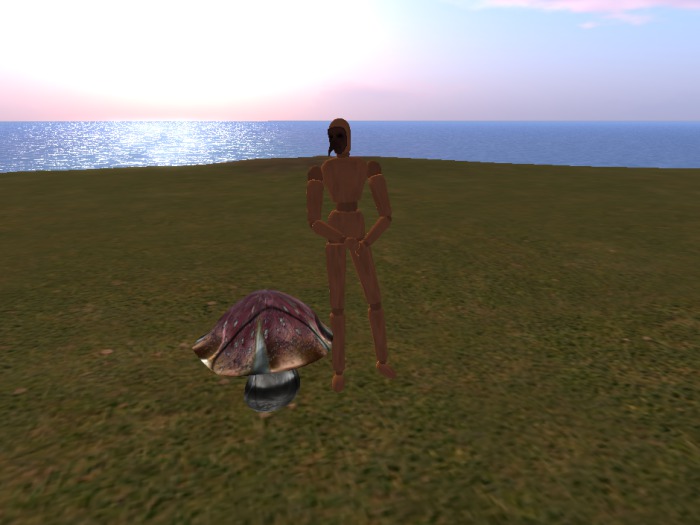 CLEAR CACHE ( vide cache )