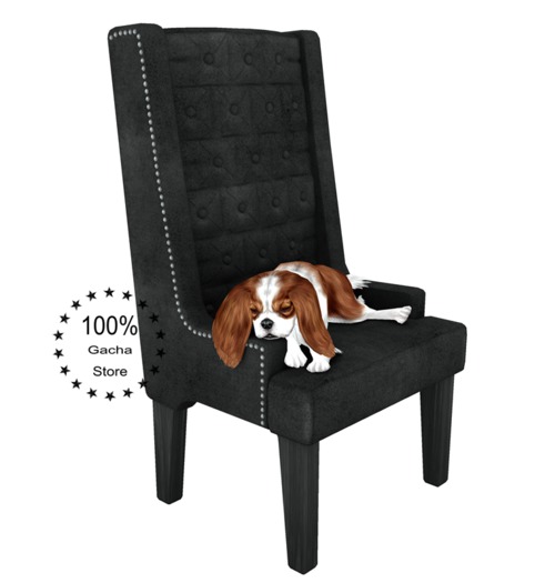 JIAN Splendid Spaniels 2. Master's Chair RARE