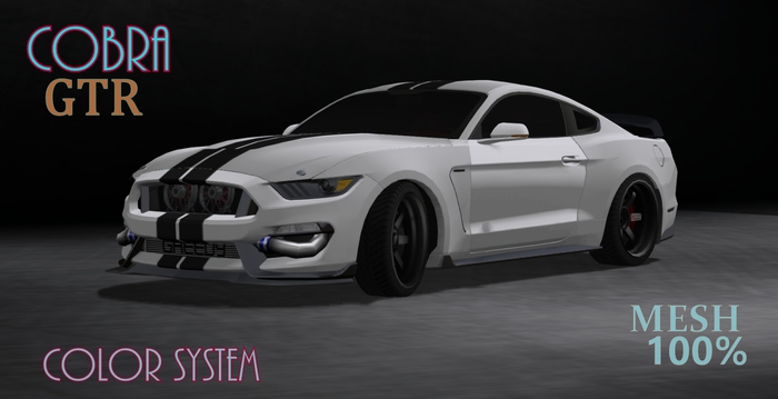 Cobra MS GTR (boxed)