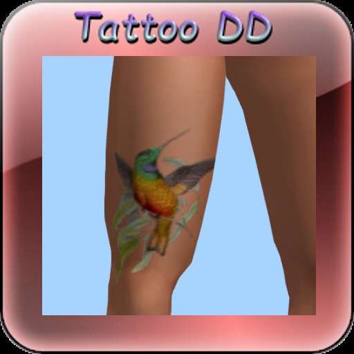 Tattoo collibri jambe DR