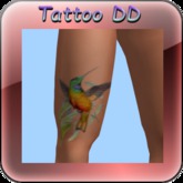 Tattoo collibri jambe DR