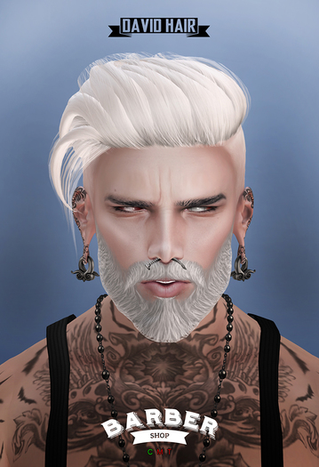 Barber Shop / David Hair / Fatpack