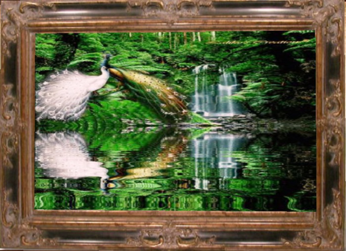 Animated picture