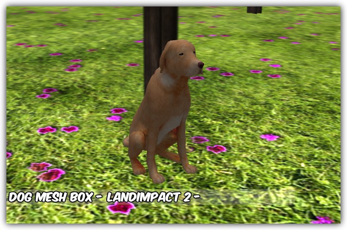 #dog mesh BOX 