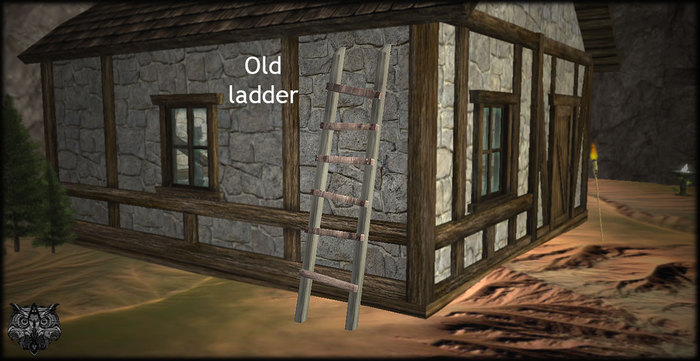 Old ladder