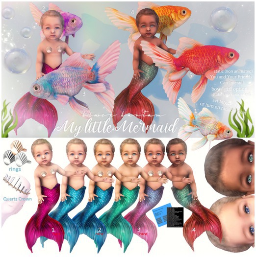 *[BB] The Friendly Fish Ride 01