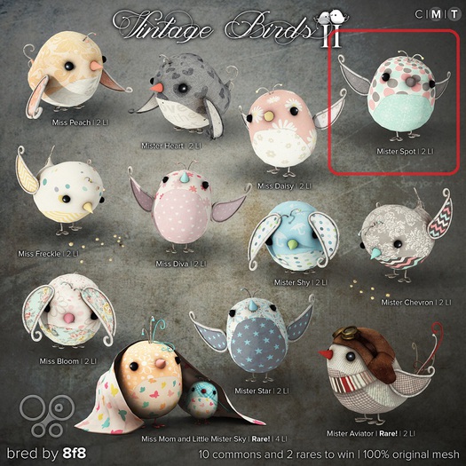 8f8 - Vintage Birds II - Mister Spot