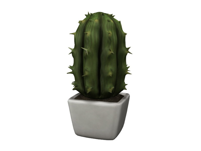 [Px] Potted Short Cactus