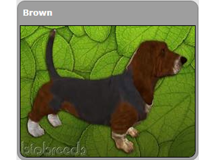 Second Life Marketplace BB BH Box Brown Male second-life-marketplace-bb-bh-box-brown-male
