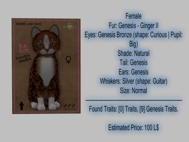 KittyCatS Box- New Born Kitten- Female