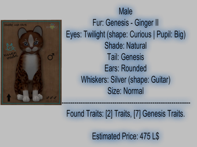 KittyCatS - New Born Kitten- Male(revised)
